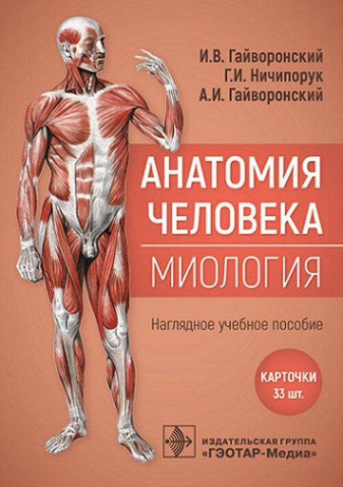 Анатомия человека. Миология. Карточки : наглядное учеб ное пособие