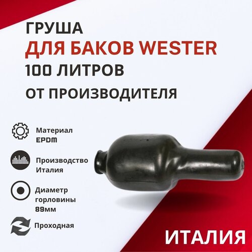 Груша Wester 100 литров, проходная (grushaWester100proh) груша wester 8 литров