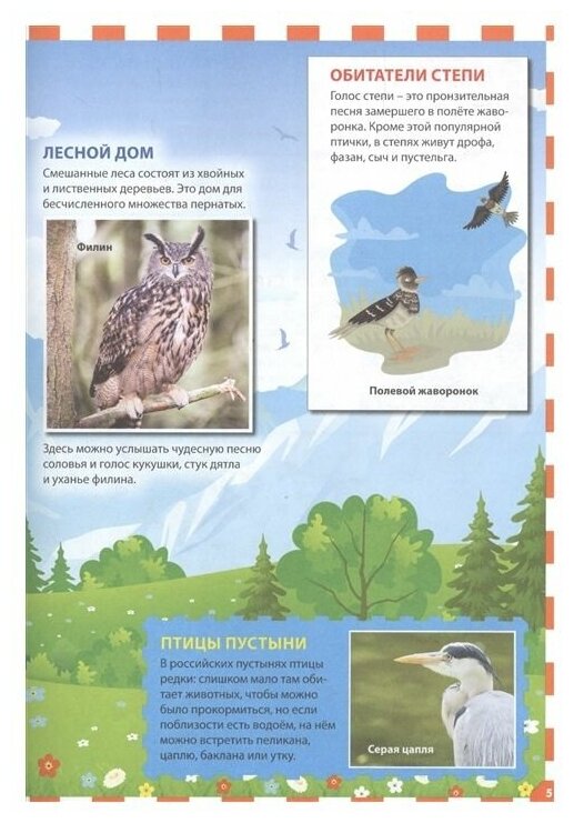 Птицы России (Феданова Юлия Валентиновна; Скиба Тамара Викторовна) - фото №4