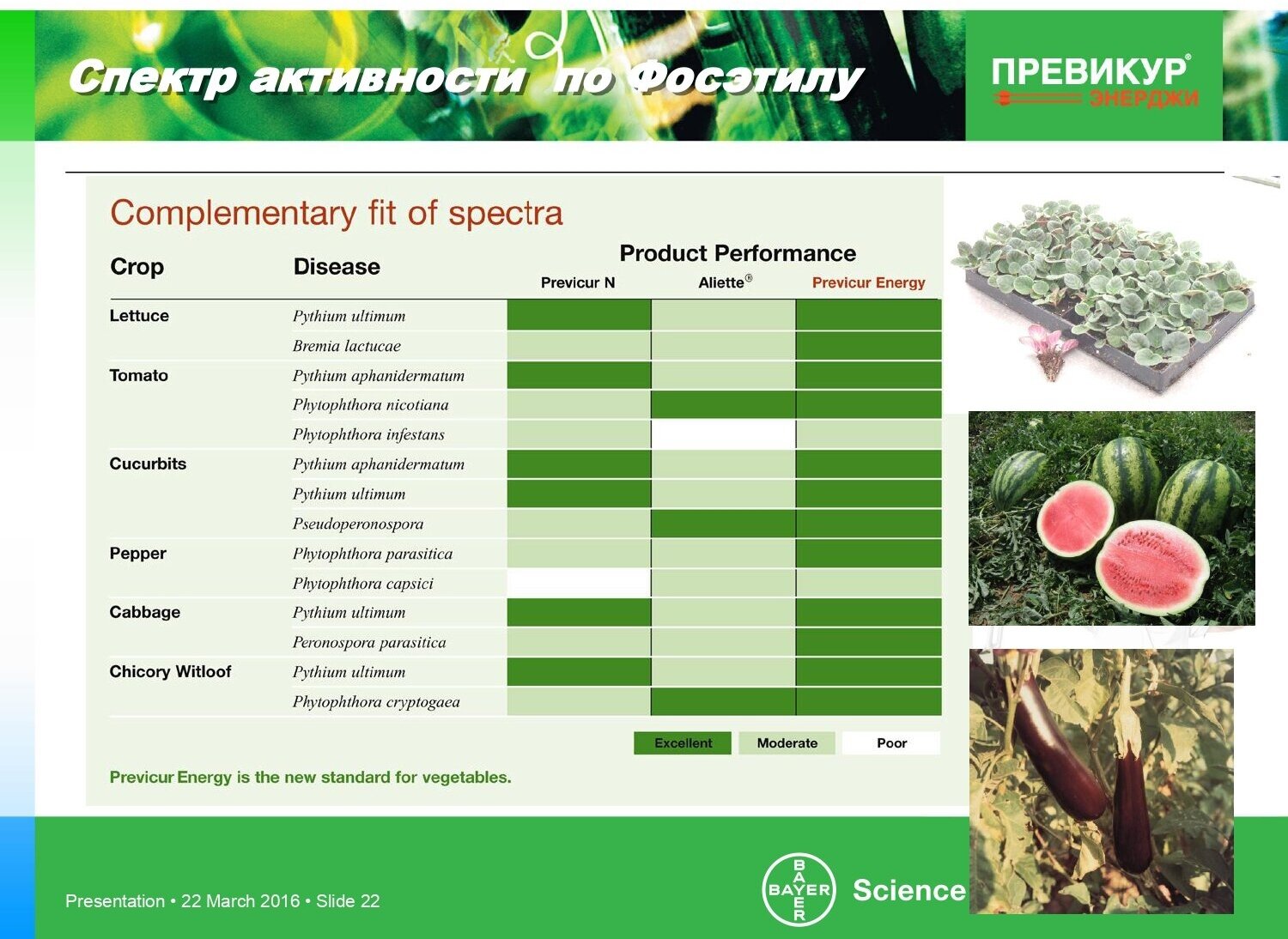 Фунгицид Превикур Энерджи 2 шт по 10 мл - фотография № 20