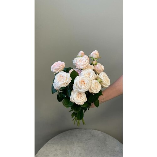 Нежно розовые голландские кустовые розы