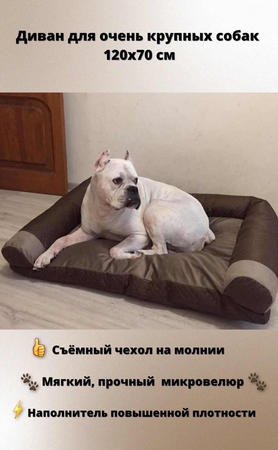 Диван-лежак для собак крупных пород велюр латте 120*70 см - фотография № 1