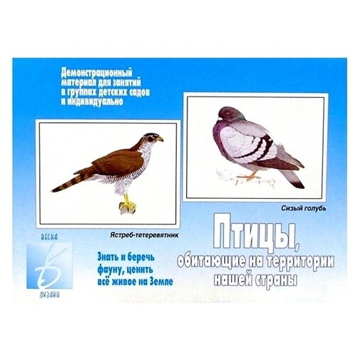 Обучающий набор Весна-Дизайн Птицы, обитающие на территории нашей страны Д-292 игра животные обитающие на территории нашей страны