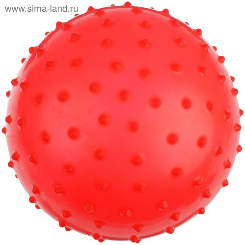 Мячик массажный, матовый пластизоль, d 20 см, 50 г, микс