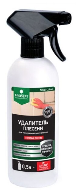 Защита от плесени PROSEPT FUNGI STOP, готовый состав 500 мл