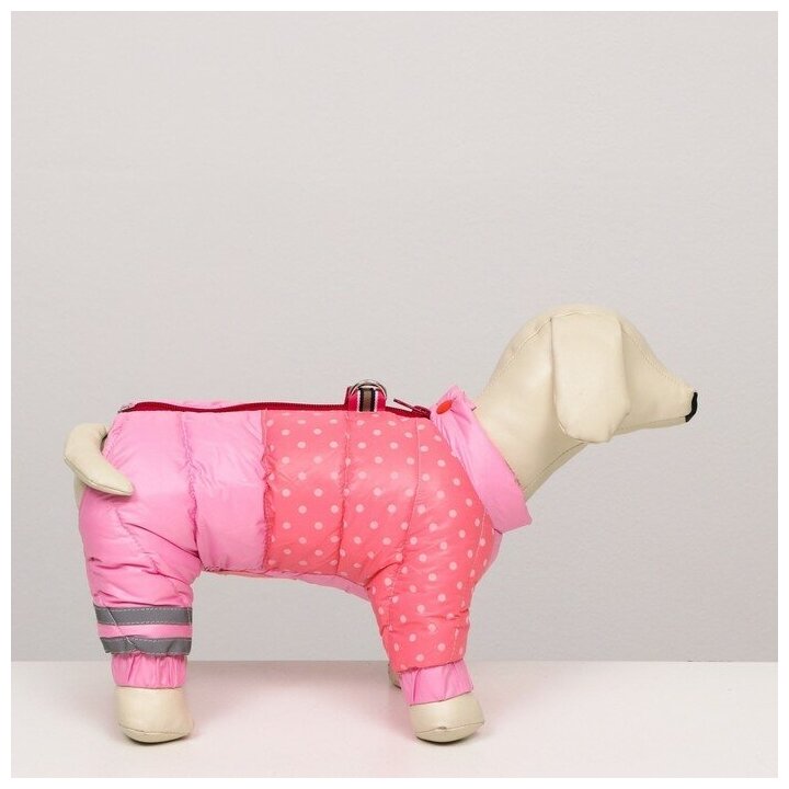 Комбинезон для собак "Горошек", размер 16 (ДС 28 см, ОГ 44 см, ОШ 34 см), розовый - фотография № 2