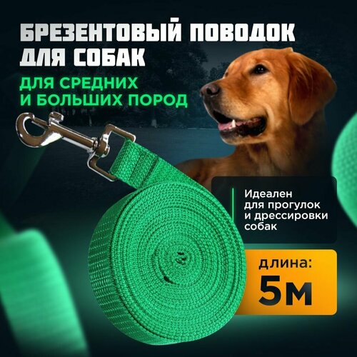 Поводок для средних, больших собак/ брезентовый с карабином/длина 5 м х ширина 2,5 см/ Амуниция для животных