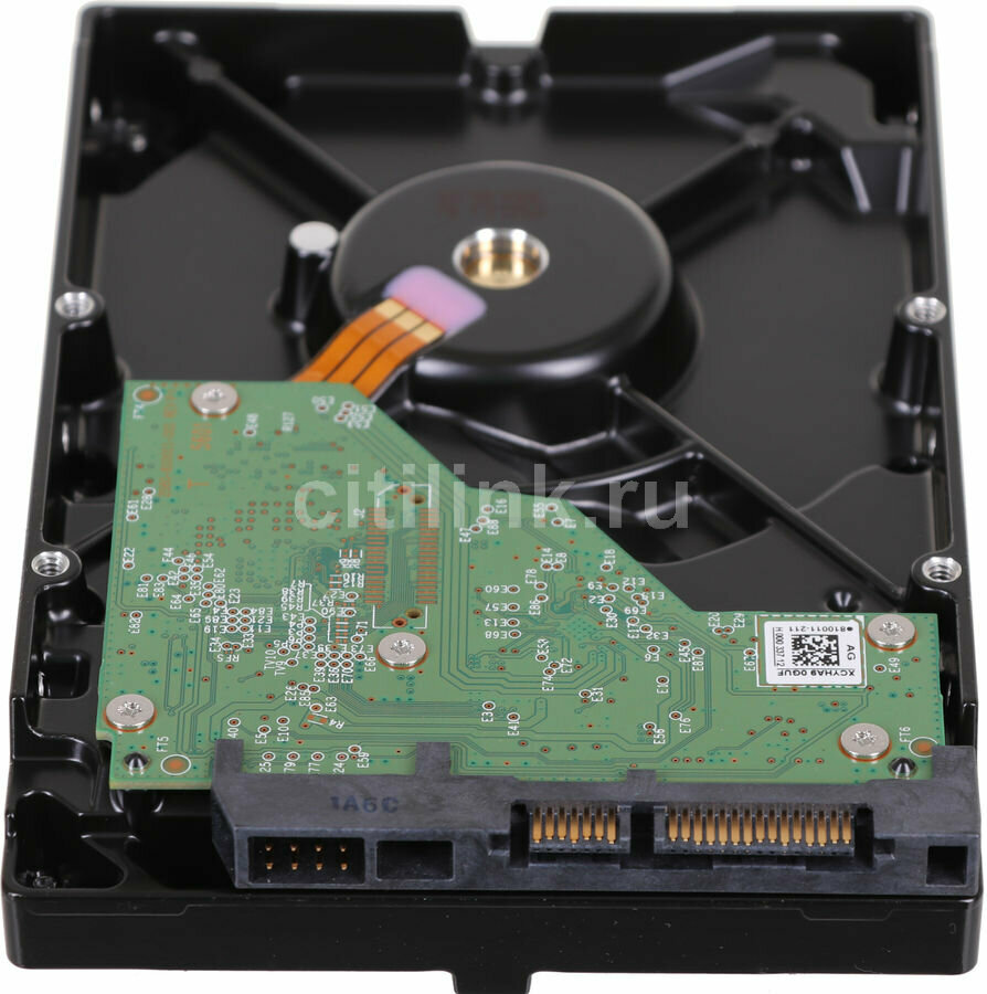 Жесткий диск WD Blue , 2Тб, HDD, SATA III, 3.5" - фото №3