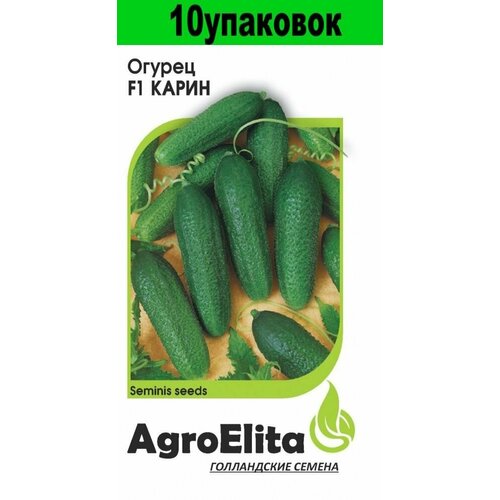 Семена Огурец Карин F1 Семинис (АгроЭлита) 10уп по 5шт семена огурец магдалена f1 10уп по 5шт агроэлита