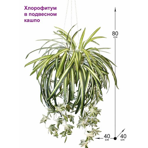 фото Искусственное растение хлорофитум в подвесном кашпо от фитопарк