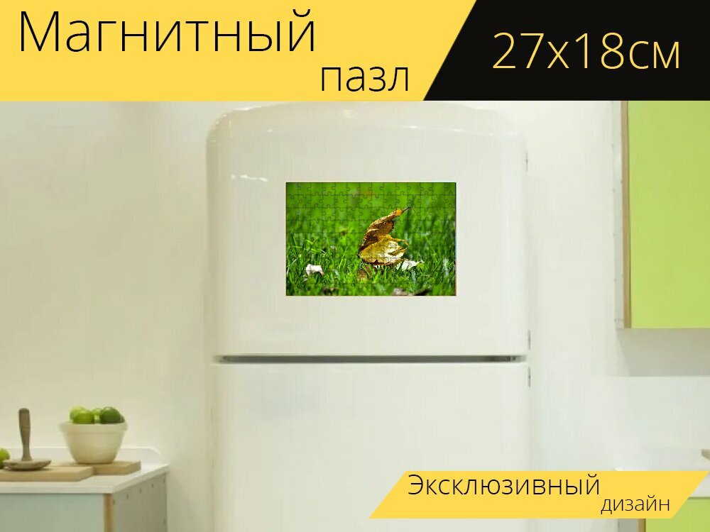 Магнитный пазл "Сухой отпуск, плоский, лист" на холодильник 27 x 18 см.