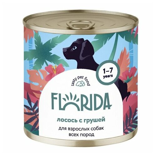 Florida - Консервы для собак Лосось с грушей - 0,24 кг