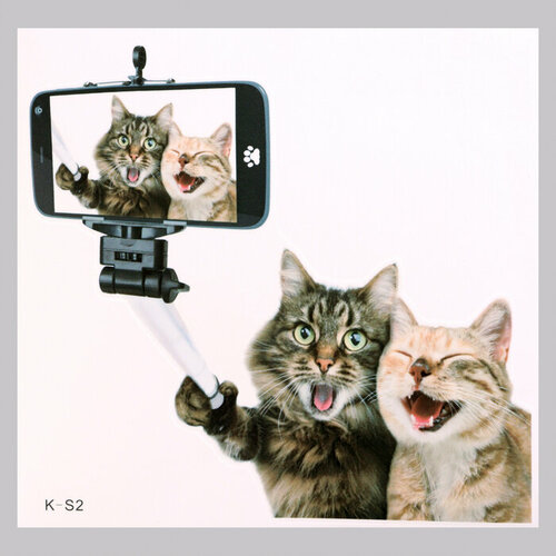 Наклейка 3Д интерьерная Котики 3030см 332₽