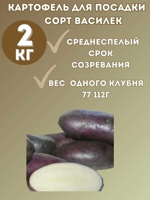 Картофель семенной Василек 2 кг