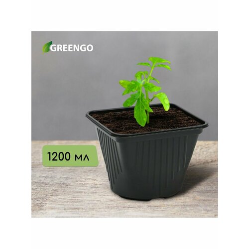 Горшки для рассады Садовод 0 черный