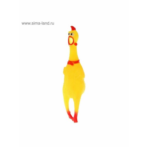 Курица кричит в сетке 563₽