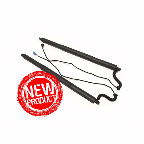 Электропривод багажника BMW X3 F25 (комплект)