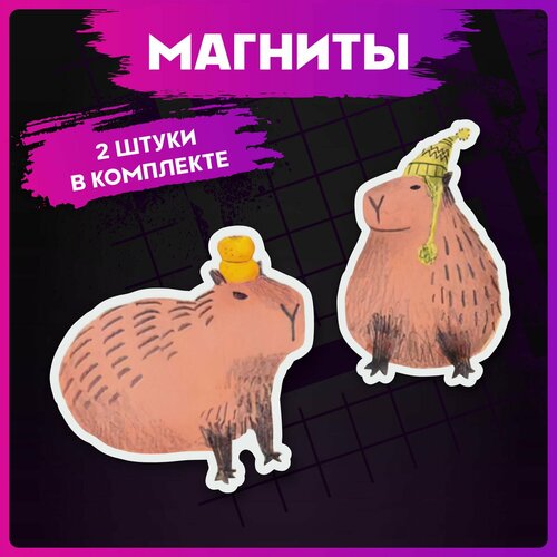 Магниты для доски Капибара 280₽