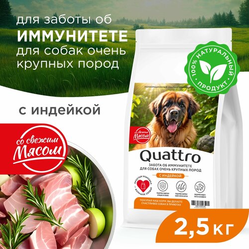 Корм сухой для взрослых собак очень крупных пород, премиум полнорационный комплекс, забота об иммунитете, с индейкой, 2,5 кг, QUATTRO