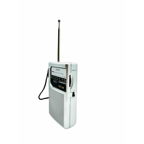 Карманный ретро радиоприемник ICF-961AMFM серебристый 299400₽