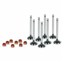 Комплект клапанов c маслосъемными колпачками M Masret Part, (впускных 4, выпускных 4, манжеты клапана 8), 240-1007014/15;
Комплект  ...