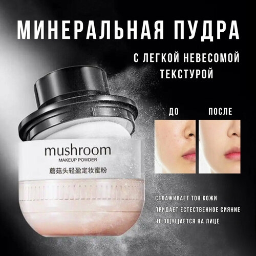 Минеральная пудра для макияжа натурального цвета ZOZU Mushroom