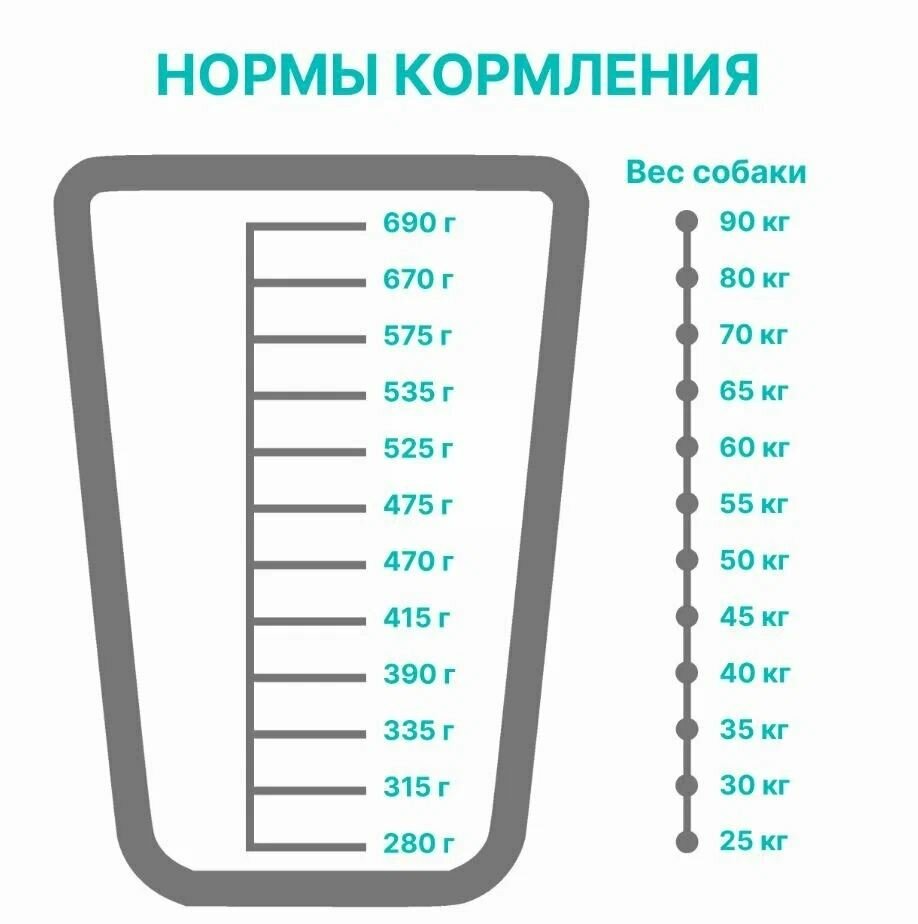 Сухой корм PREMIER для взрослых собак крупных пород: свежее мясо ягненка с индейкой 10кг — фото 1
