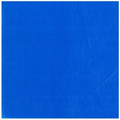 фото Салфетка синяя 33см 12шт/G