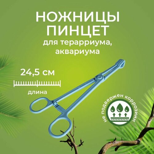 Пинцет ножницы для кормления рептилий пластиковый 24 см прямой, для уборки террариума или аквариума