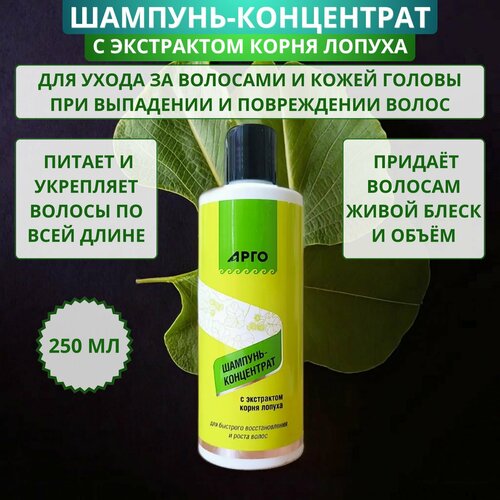 Шампунь-концентрат с экстрактом корня лопуха от Биолит 250 мл Арго При выпадении для быстрого восстановления и роста волос 763₽