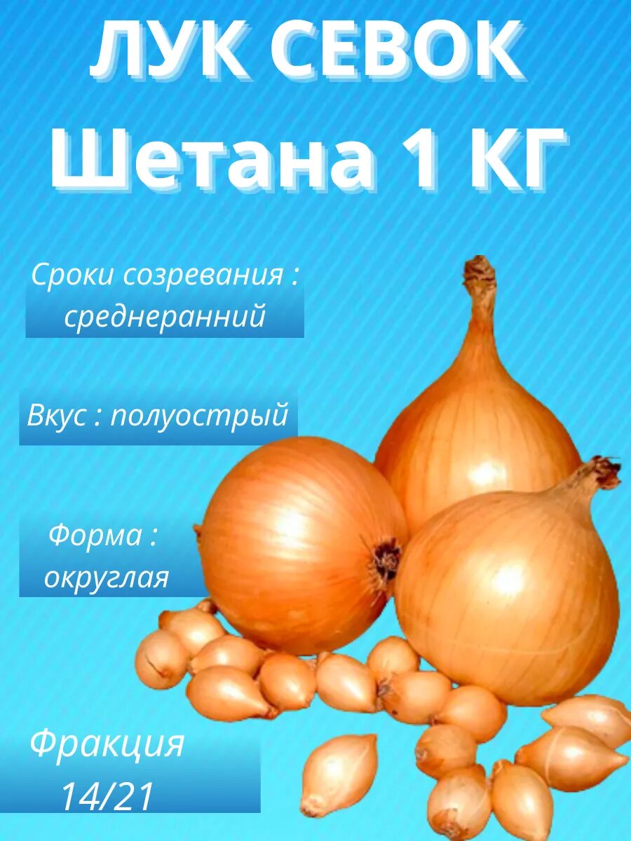 Лук севок Шетана 1 кг