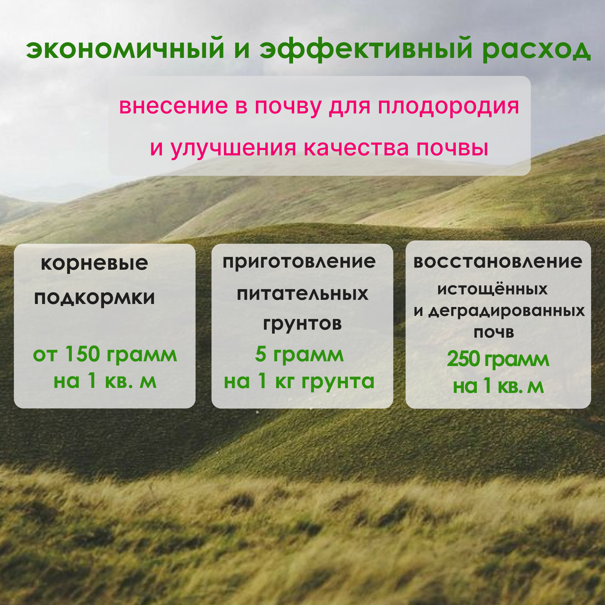 Удобрение «Агровит-Кор» марка Б, 300 гр пакет — фото 1