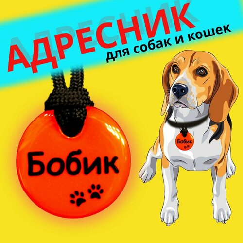 Адресник "Непотеряшка" 3 см. оранжевый для собак и кошек с регулируемым шнурком