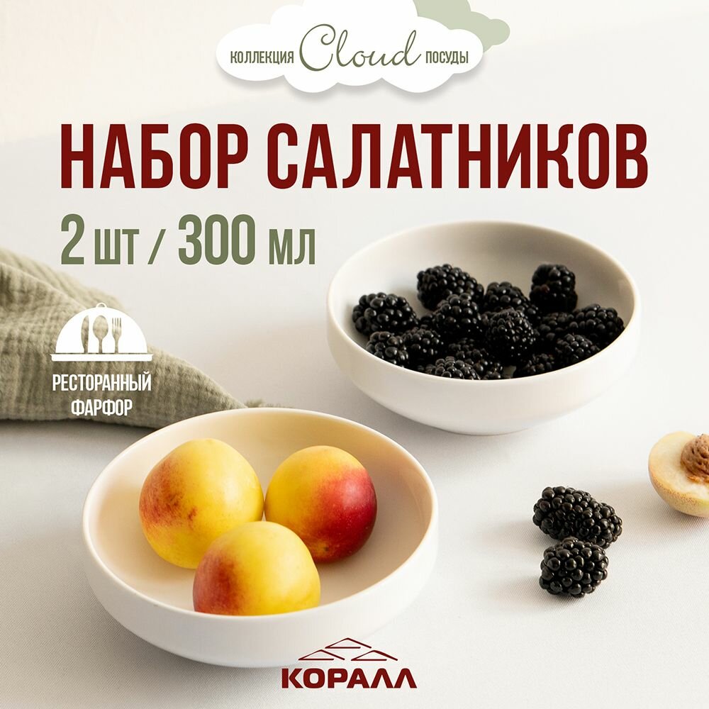 Салатники набор 2шт белый фарфор 300 мл/12см "Cloud" миска пиала салатница