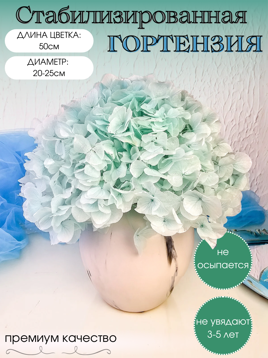 Сухоцветы для декора, стабилизированная гортензия, букет для интерьера
