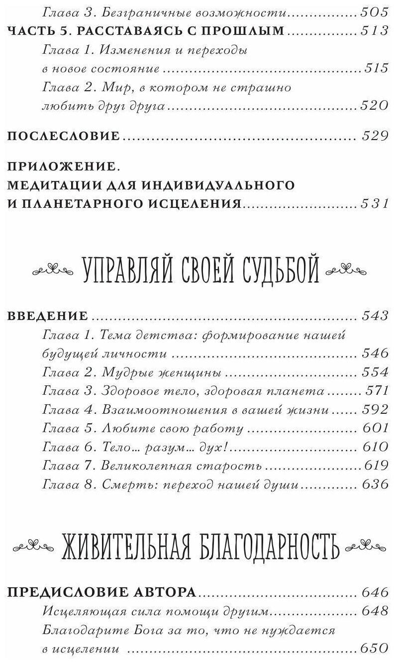 Книга женского счастья. Все о чем мечтаю. Новогоднее оформление - фото №11