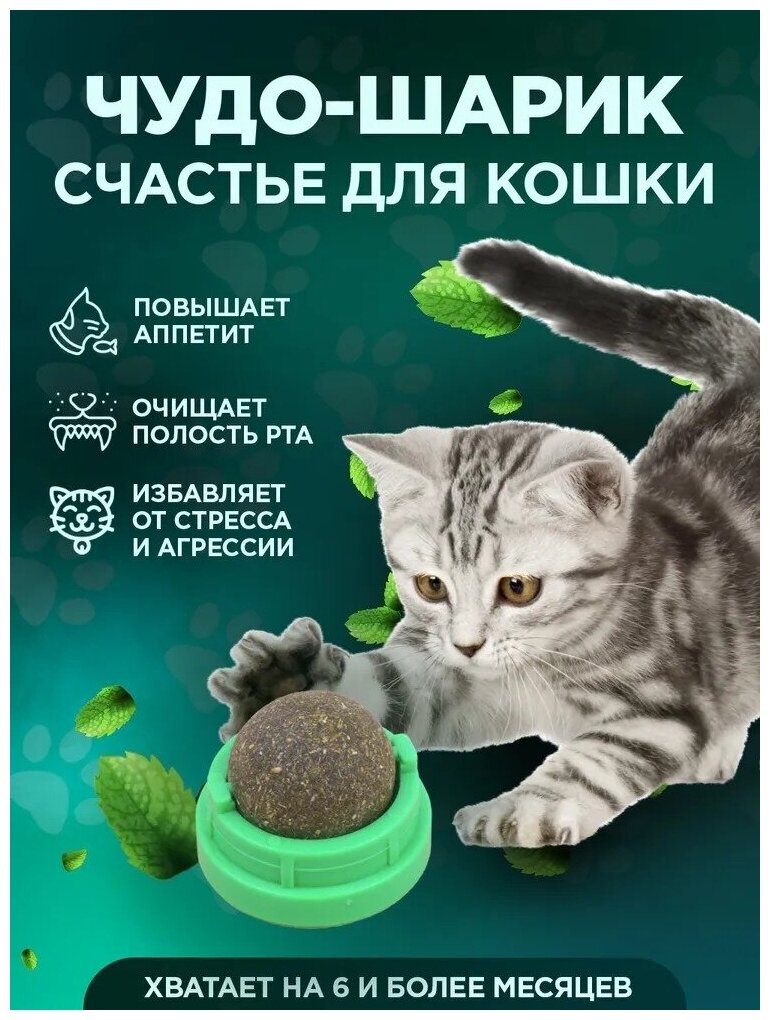 Кошачья мята, мятная игрушка для кошек и котов, шарик леденец, лакомство, конфета с кошачьей мятой, лакомство для кошки, для животных, 1шт