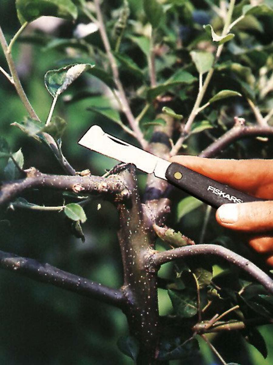 Садовый нож для прививок Fiskars - фото №14