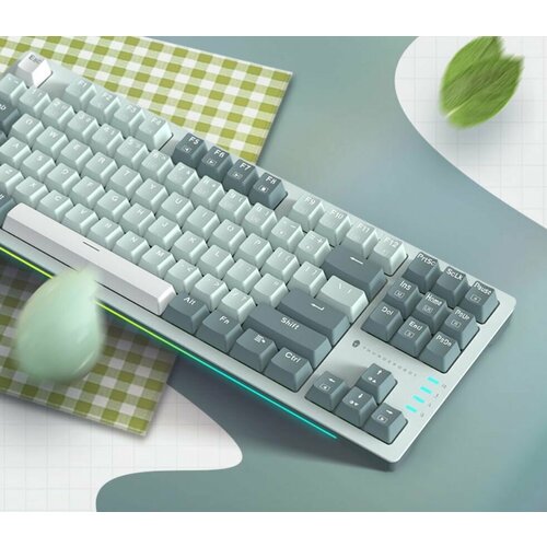 Клавиатура игровая THUNDEROBOT K87 Grey (ENG+русские кейкапы), проводная