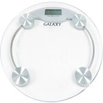 Весы электронные GALAXY LINE GL4804 - изображение