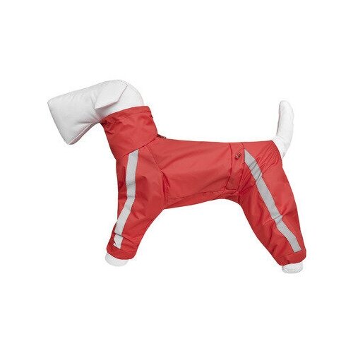Tappi одежда Дождевик для собак Басенджи без подкладки с воротником-капюшоном девочка Красный размер L зп24ос 0,2 кг 58591 (1 шт) tappi одежда tappi одежда дождевик для собак оками прозрачный l