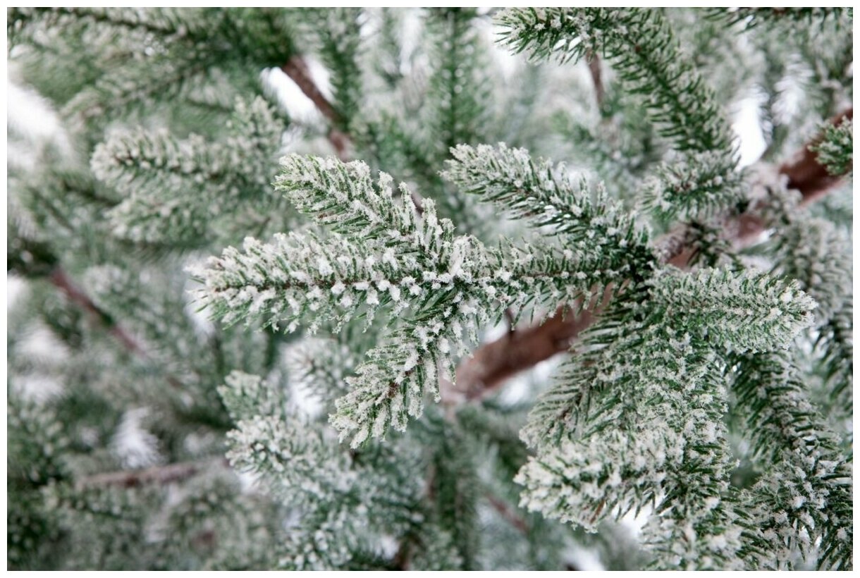 Ель искусственная Crystal Trees KP15180 180 см зеленая заснеженная - фото №5