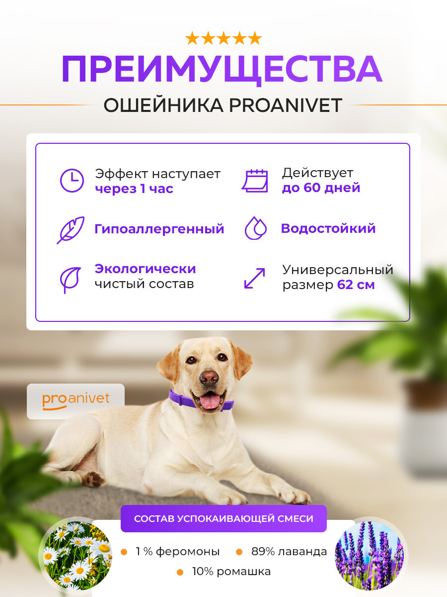 Успокаивающий ошейник для собак с феромонами ProAnivet Calming Collar, фиолетовый, 62 см