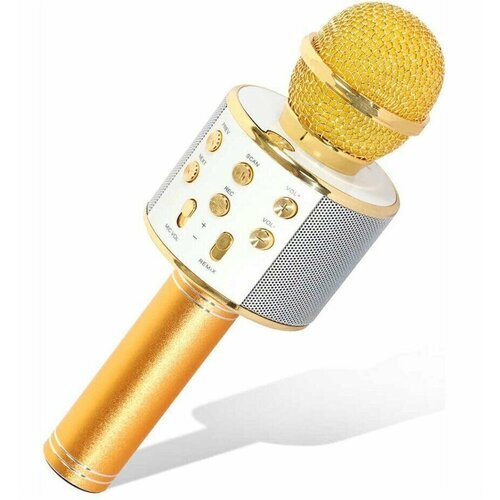 Беспроводной микрофон 106600₽