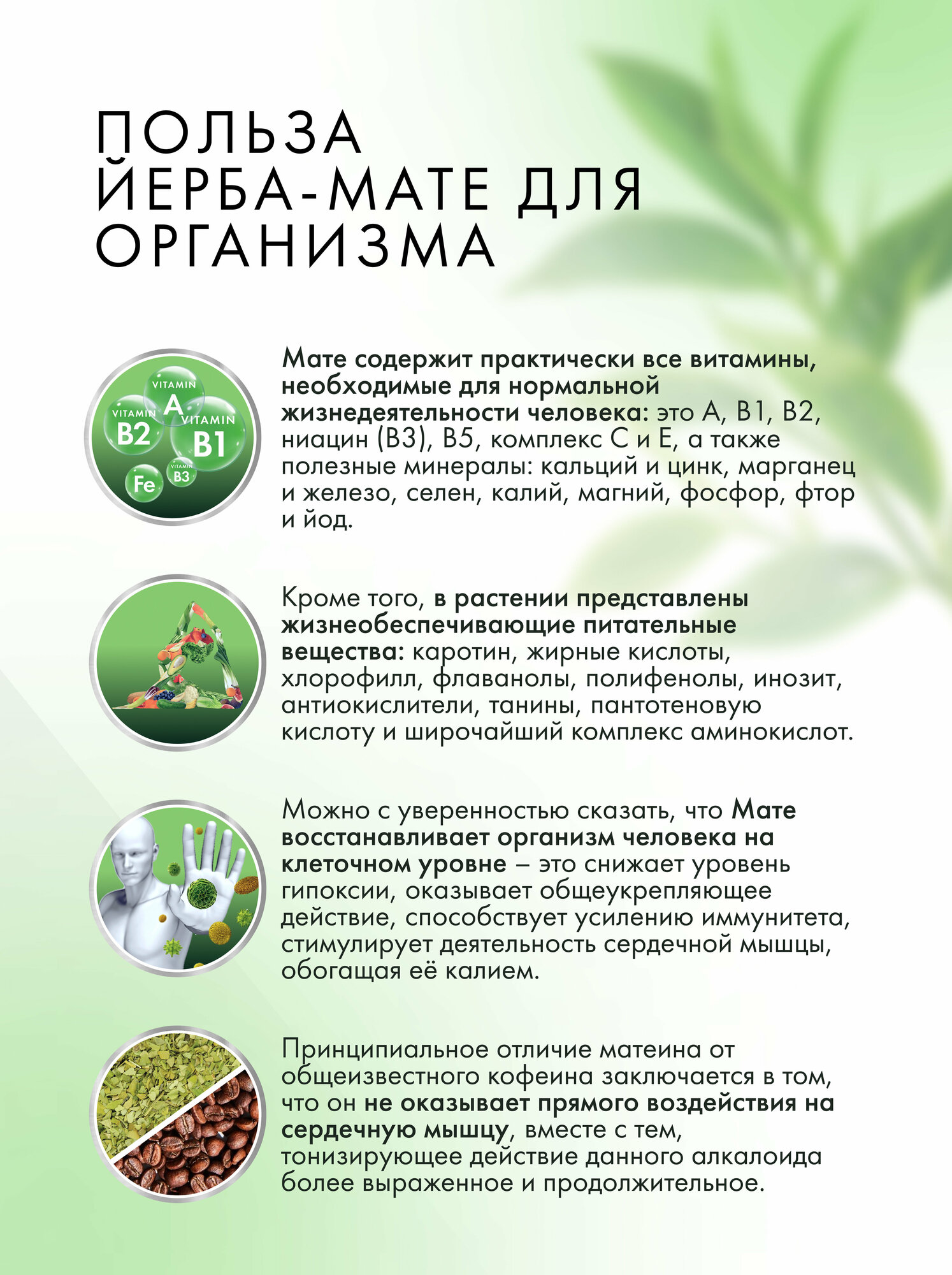 Комплект: Калабас и бомбилья для Йерба Мате — фото 1
