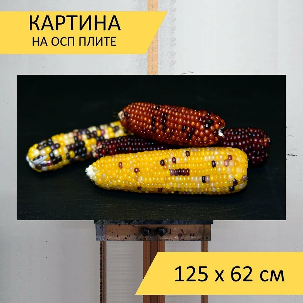 Картина на ОСП 125х62 см. "Кукуруза, декоративная кукуруза, украшение" горизонтальная, для интерьера, с креплениями