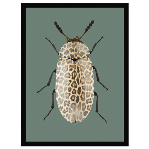 Постер в раме G&C art studio 2751F 500х700