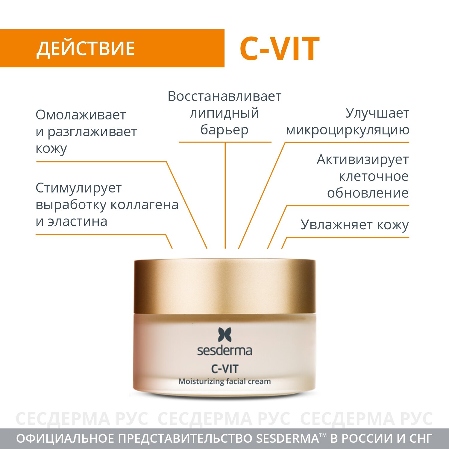 Sesderma Увлажняющий крем для лица С-Vit, 50 мл (Sesderma, ) - фото №3