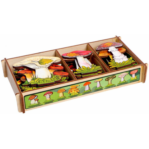 фото Обучающий набор "грибы на подставке" в деревянной коробке, 36 деталей, учим грибы нескучные игры