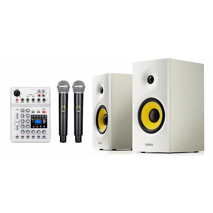 Караоке система с микшером, микрофонами и акустикой SkyDisco UM-100+R1042BT White